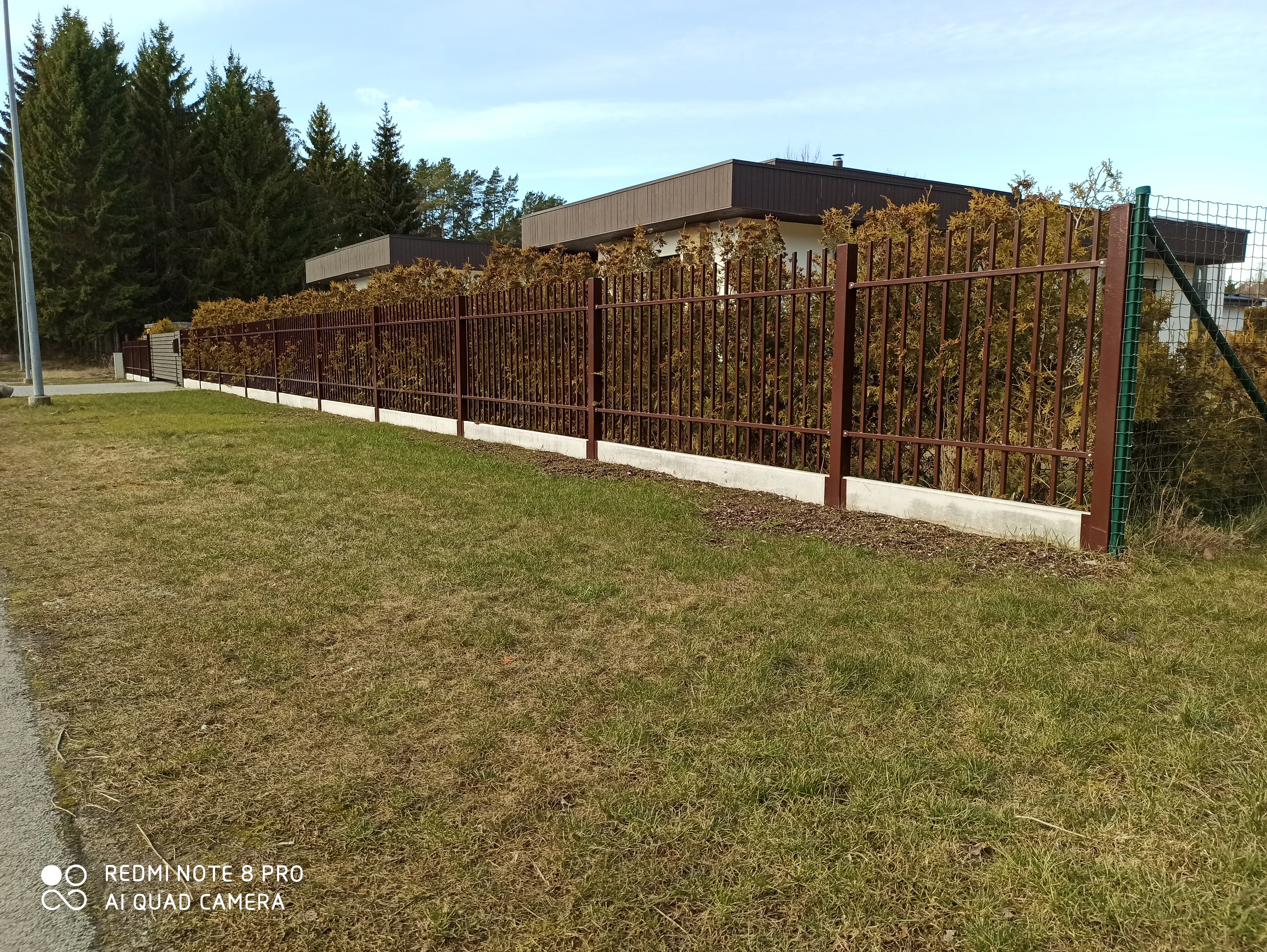 Metallaed - pruun metallvarbaed betoonvundamendiga metsa ääres