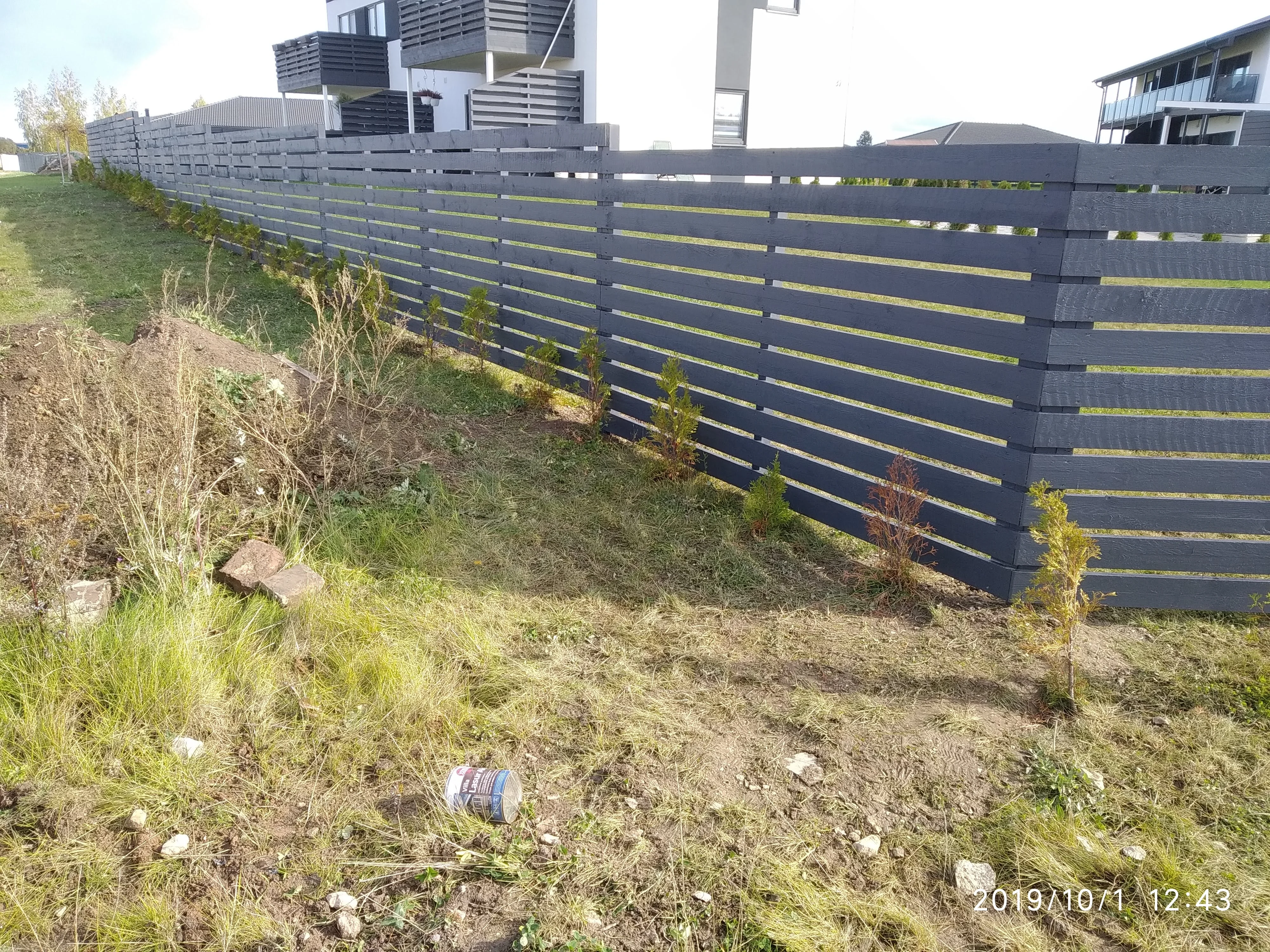 Puitaed - antratsiithall horisontaalne laudis ridaelamute ees